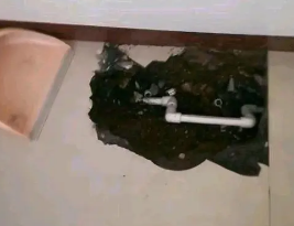 犍为卫生间测漏水多少钱
